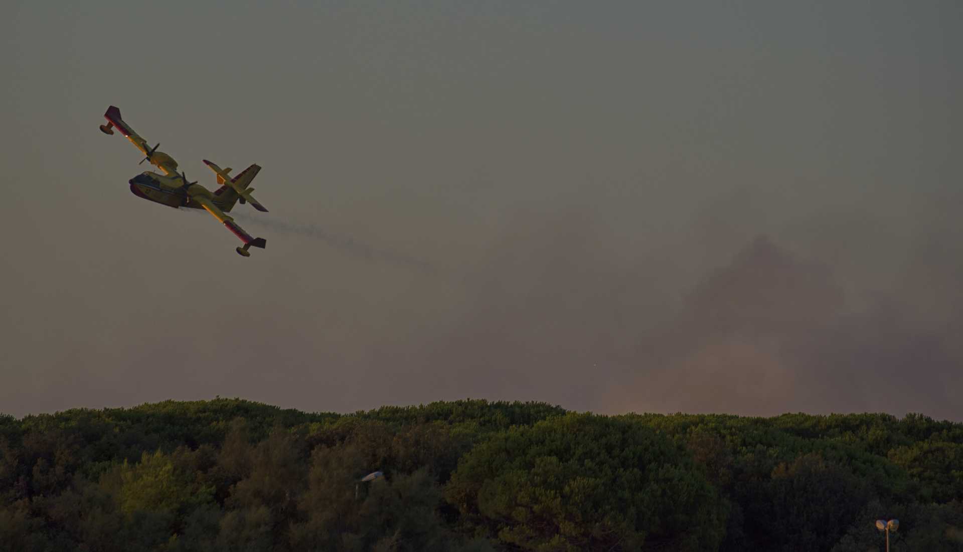 Un altro pezzo di pineta se ne va: l''incendio di Castelfusano